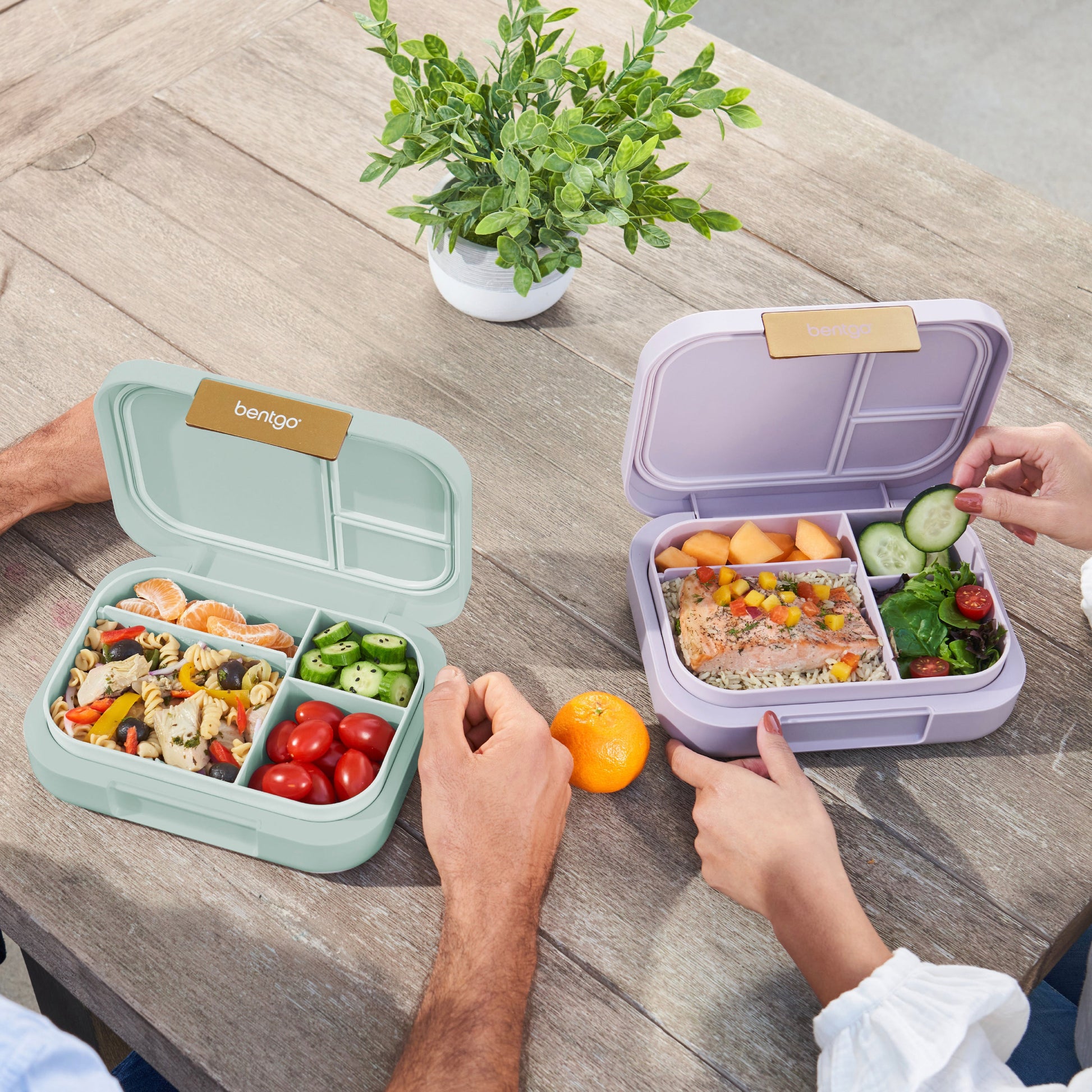 bentgo-modern-lunch-box-2-pack-i5 COSTCOBMCPRODUCTIMAGE_2.jpg